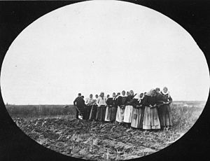 Doukhobor women pulling a plough - Thunder Hill Colony-Manitoba.jpg