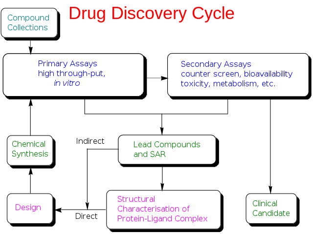 Drug discovery - Wikipedia