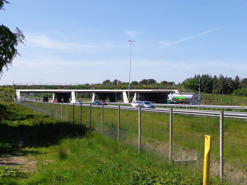 File:Ecoduct Mollebos Oost.JPG