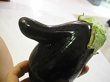 Eggplant fruit, or aubergine. Eggplant abnormality.jpg