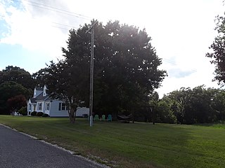 <span class="mw-page-title-main">Elevon, Virginia</span> Unincorporated community in Virginia, United States