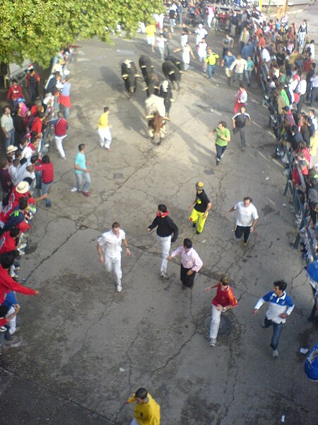 File:Encierro de Cuéllar, Segovia (26-08-07)..JPG