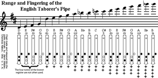 Musical technique Ability of musicians to exert optimal control of their instruments and/or bodies