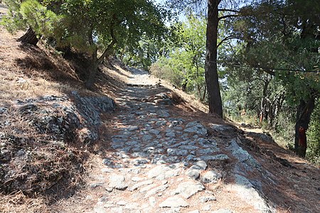 Le chemin d'accès.