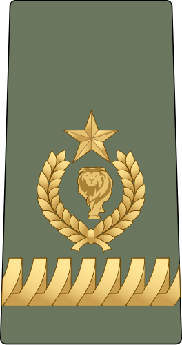 File:Ethiopia-Army-OF-6 (2022).svg