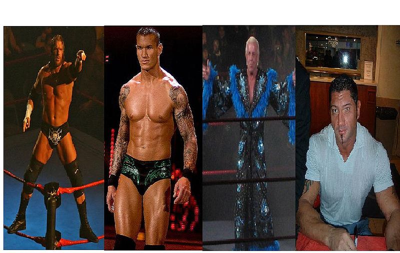 File:Evolution WWE.JPG