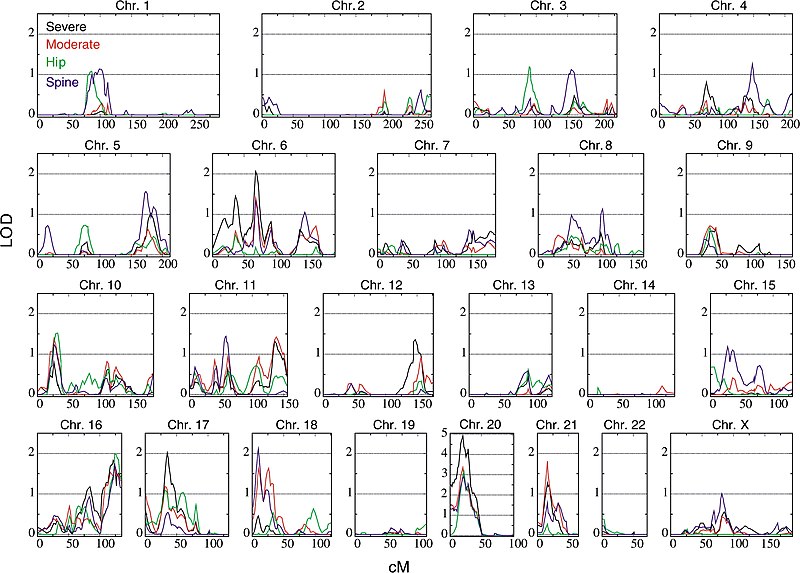 File:Example of a Genome-wide QTL-Scan from PLoS Biology.jpg