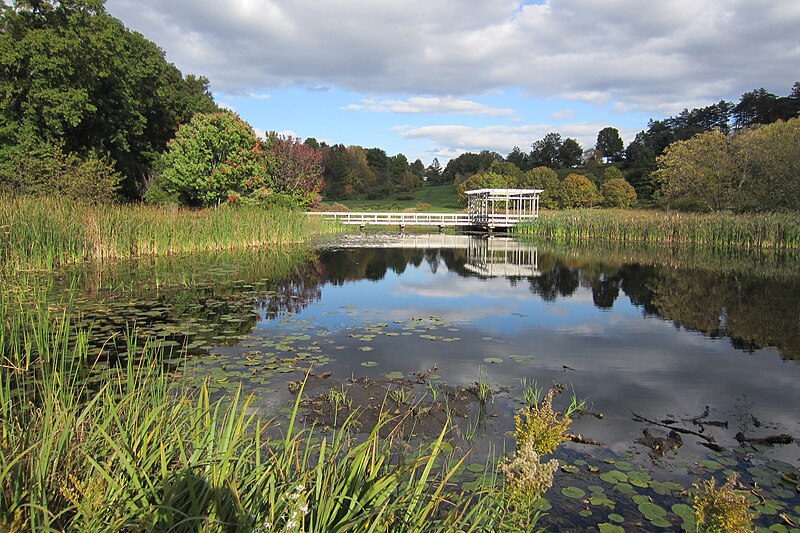 File:F.R. Newman Arboretum, Cornell University.jpg