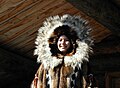 Modelling Fairbanks Fur - Alaska