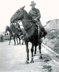 An Islander mounted in typical Falklands style with the usual gaucho horse gear, c. 1936. Falklander-1936.jpg