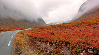 Fall Colours, along Route 63, Norway.jpg