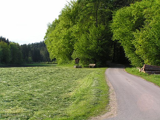 Feldkreuz bei Pirach - geo.hlipp.de - 9960