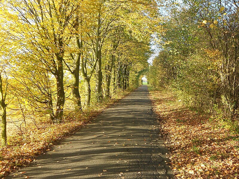 File:Feldweg Köln-Libur.JPG