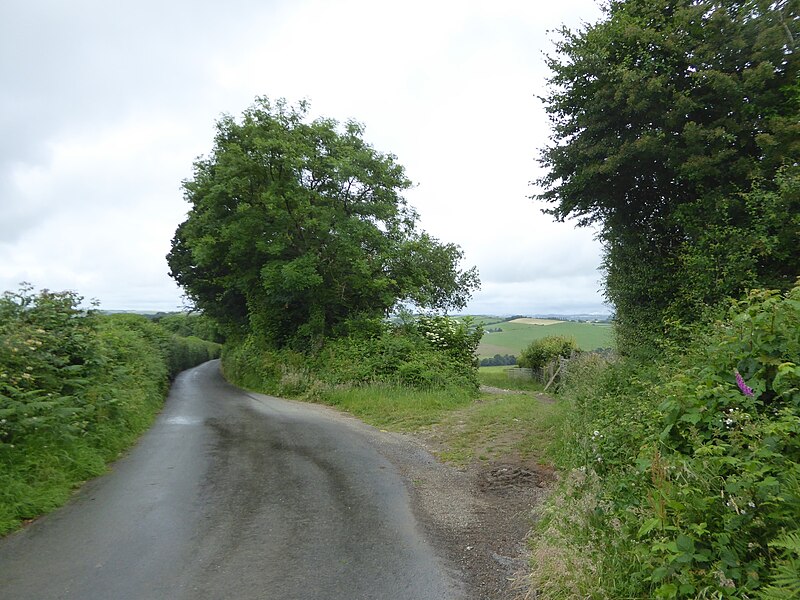 File:Field access east of Alswear - geograph.org.uk - 5812956.jpg