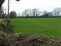 Field near to Frogwy Bach - geograph.org.uk - 152500.jpg