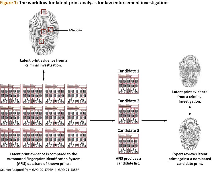File:Figure 1 The workflow for latent print analysis for law enforcement investigations (51295965347).jpg