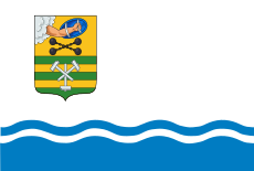 Flag of Petrozavodsk (Karelia).svg