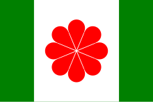 Flag of Taiwan proposed 1996.svg