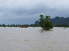 Flood in Myanmar Flood in Kyaikmaraw (2019).jpg