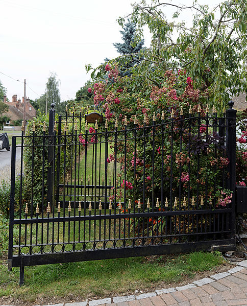 File:Flowering shrubs and gate Goodnestone Dover Kent England 2.jpg