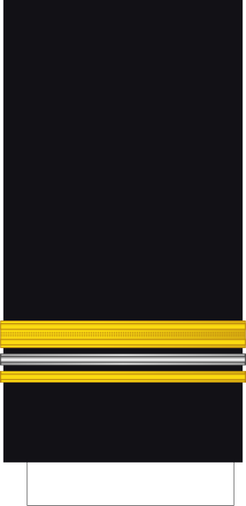 File:France-Navy-OR-9a Sleeve.svg