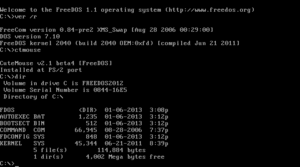 FreeDOS 1.1 screenshot.png