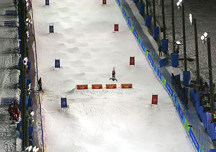 Ski acrobatique aux JO de 2006 (épreuve de bosses).