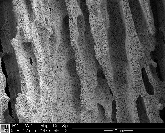 File:Freeze-Cast Alumina Axial Magnified.tif