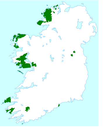 Língua irlandesa