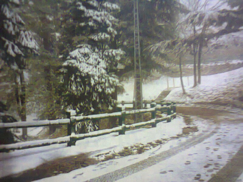 File:Galiyat road in snowfall.jpg