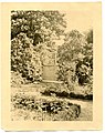 Garden gate looking south toward rear of Longfellow House, 1904 (e08f5efb-27db-42ae-986c-a5cba92c8d3b).jpg