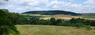 <span class="mw-page-title-main">Glauberg</span> Celtic oppidum in Hesse, Germany