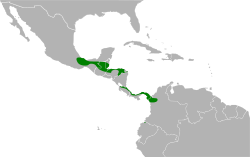 Glaucidium griseiceps map.svg