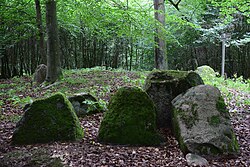 Großsteingräber bei Dambeck (Bütow) Grab 1 E.jpg
