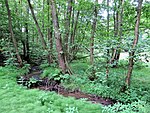 Naturschutzgebiet Funckenhauser Bachtal