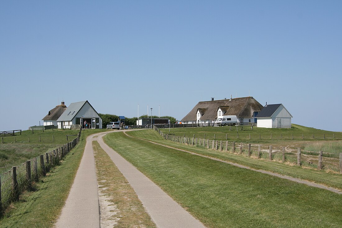 Hamburger Hallig