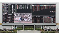 単勝1.1倍を示すオッズボード