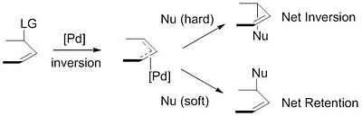 HardvsSoft Nucleophile.jpg