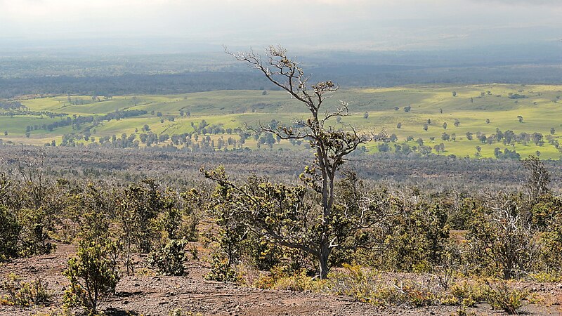 File:Hawaii Volcanoes National Park (504419) (23175850143).jpg