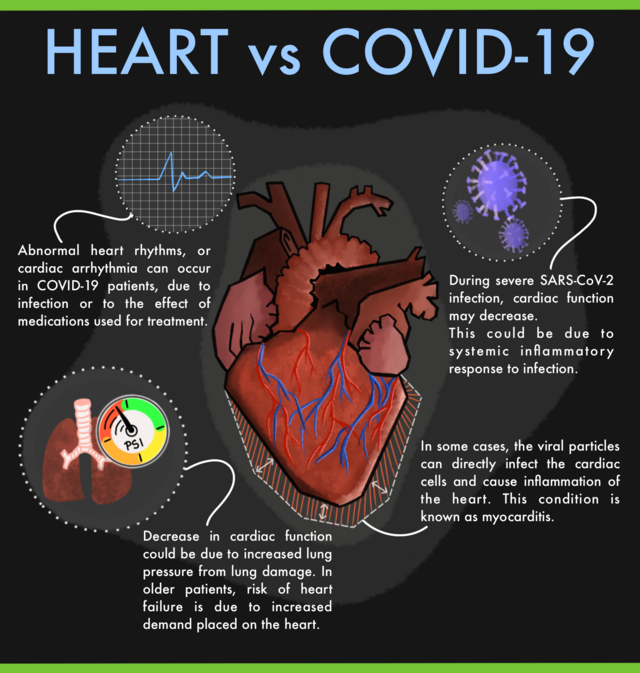 Thông tin cơ bản về COVID-19