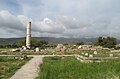 The core myth at the heart of the cult of Heraion of Samos is that of her birth. According to the local tradition, the goddess was born under a lygos tree (Vitex agnus-castus, the "chaste-tree"). At the annual Samian festival called the Toneia, the "binding", the cult image of Hera was ceremonially bound with lygos branches, before being carried down to the sea to be washed. The tree still featured on the coinage of Samos in Roman times and Pausanias mentions that the tree still stood in the sanctuary.[4]