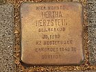 Hertha Herzstein