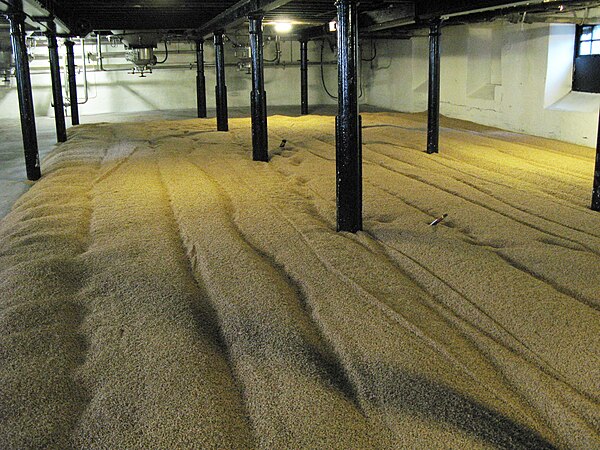 Malting floor at Highland Park Distillery.