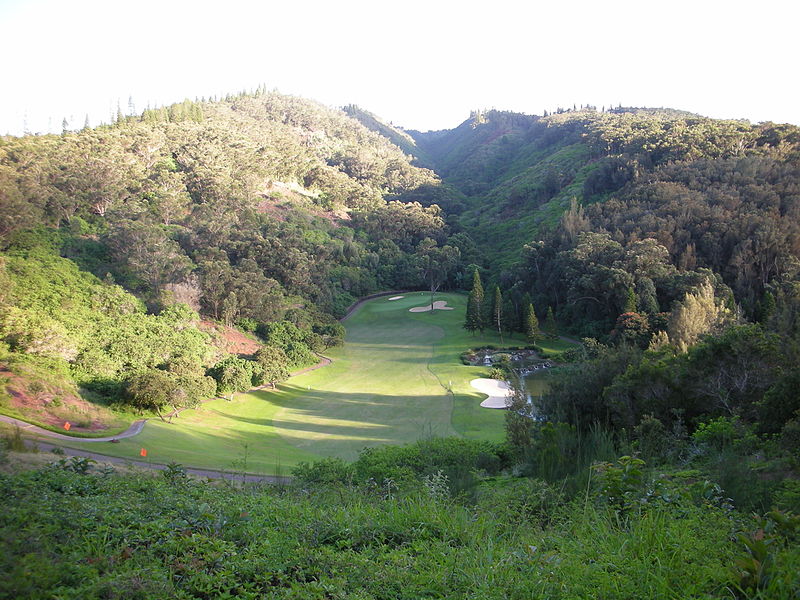 File:Hole 17 (Ko'ele).jpg