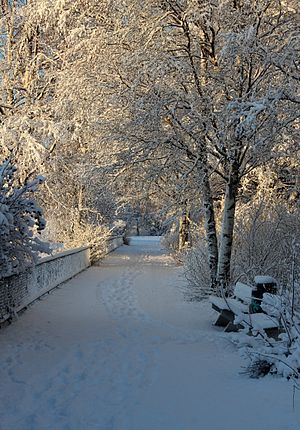 Parc d'Hollihaka