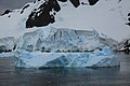 Iceberg and glacier in the Lemaire Channel, Antarctica (6054764966).jpg