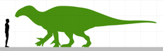 Iguanacolossus size.png