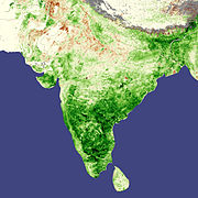 India vegetation, natural and cultivated, favorable weather boosts Indian agriculture, April 2008.jpg