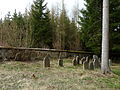 Čeština: Náhrobky na židovském hřbitově v obci Košetice v okrese Pelhřimov. English: Gravestones in the Jewish cemetery in the municipality of Košetice, Pelhřimov District, Vysočina Region, Czech Republic. This is a photo of a cultural monument of the Czech Republic, number: 15672/3-3091. Památkový katalog  · MIS  · hledat obrázky  · hledat seznamy  · Wikidata