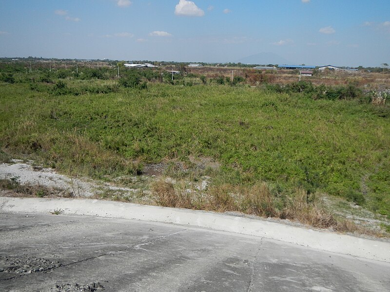 File:Jf9418River Megadike Bacolor Pampanga fvf 27.JPG